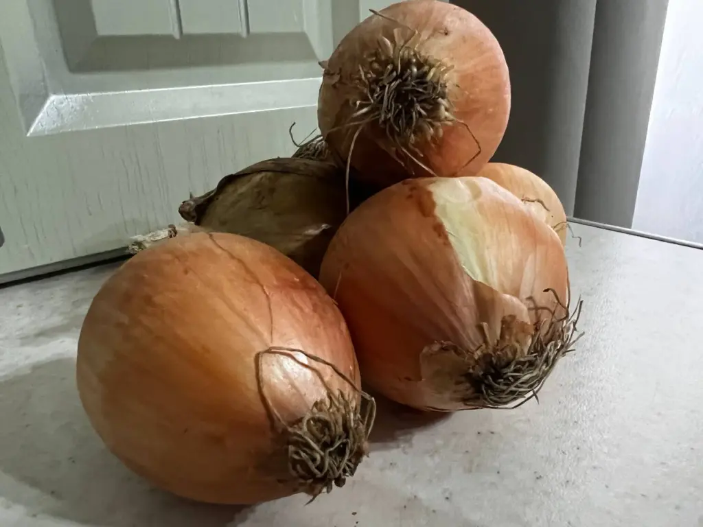 Запомните простое правило для вкусной зажарки: что на самом деле обжаривается первым — лук или морковь