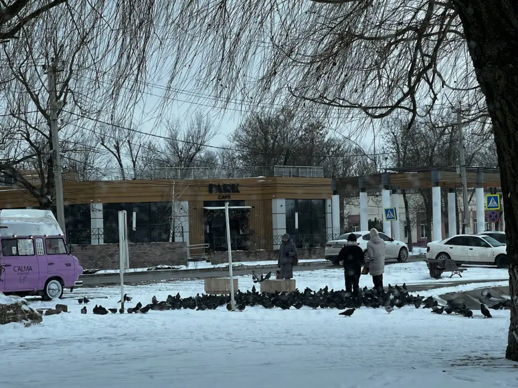 Зима точно будет самой аномальной за последние годы: синоптики сказали, к чему готовиться