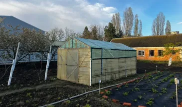 Вот как просто защитить грядки от слизней: делаю ловушку из пластикового стаканчика — экологично и стоит копейки