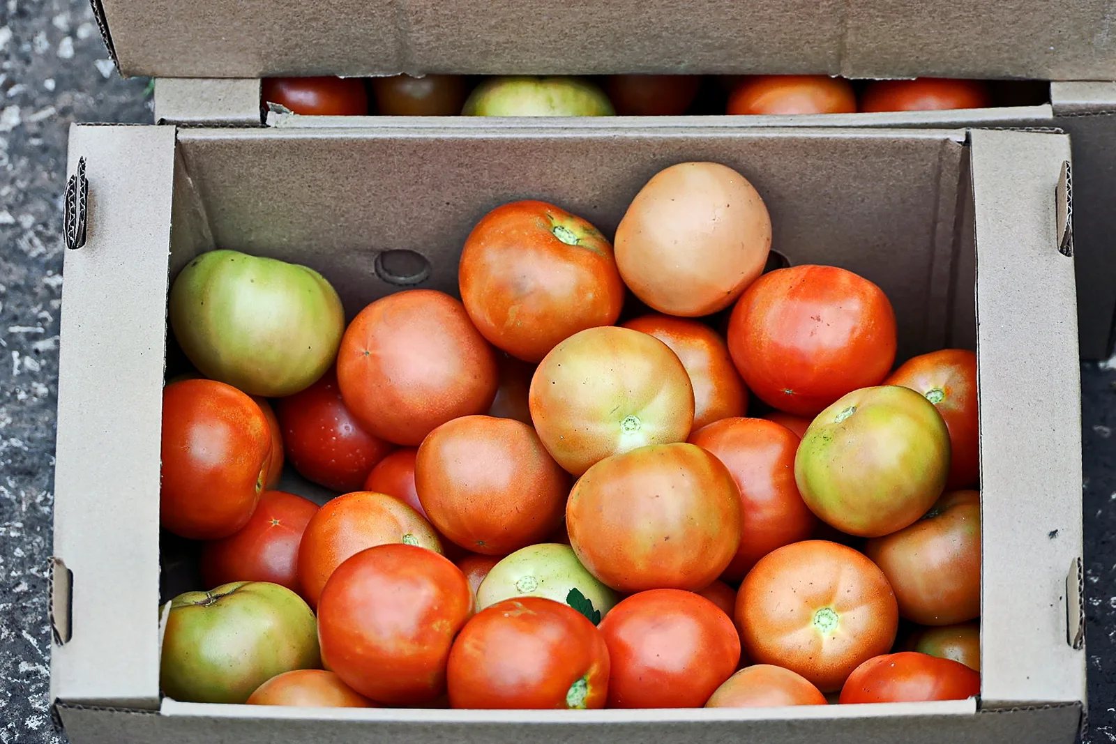 Торги по сносу овощехранилища в центре Самары остановили из-за жалобы Торги по сносу овощехранилища в центре Самары остановили из-за жалобы