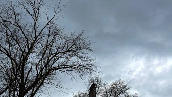 В Самарской области 11 часов продолжалась угроза атаки БПЛА