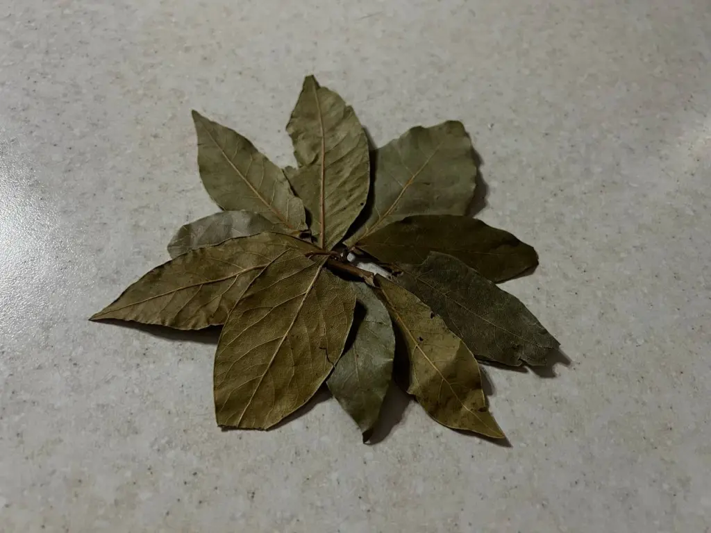 Перед уборкой кипячу лавровый лист по совету свекрови — ещё один идеальный бытовой лайфхак в мою копилку