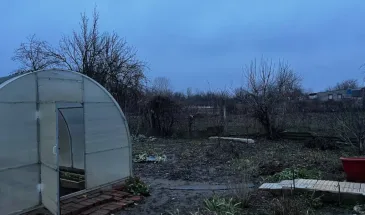 Эта копеечная крупа преобразит почву в чернозем — за бесценок и кардинально