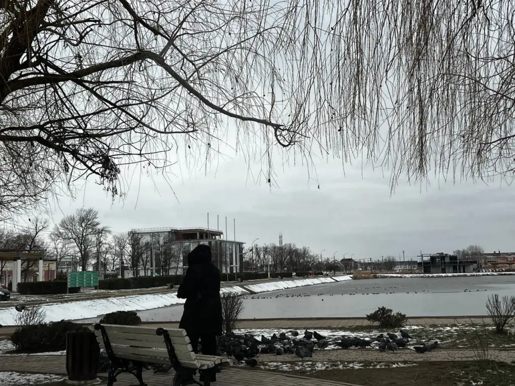 Декабрь будет аномальным: синоптики сказали, как начнётся сумасшедшая зима