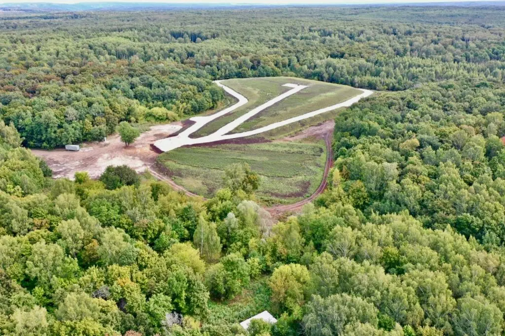 Уголовное дело возбудили из-за убийства кабанов в нацпарке «Самарская лука»