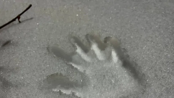 В Самарской области появились первые сугробы