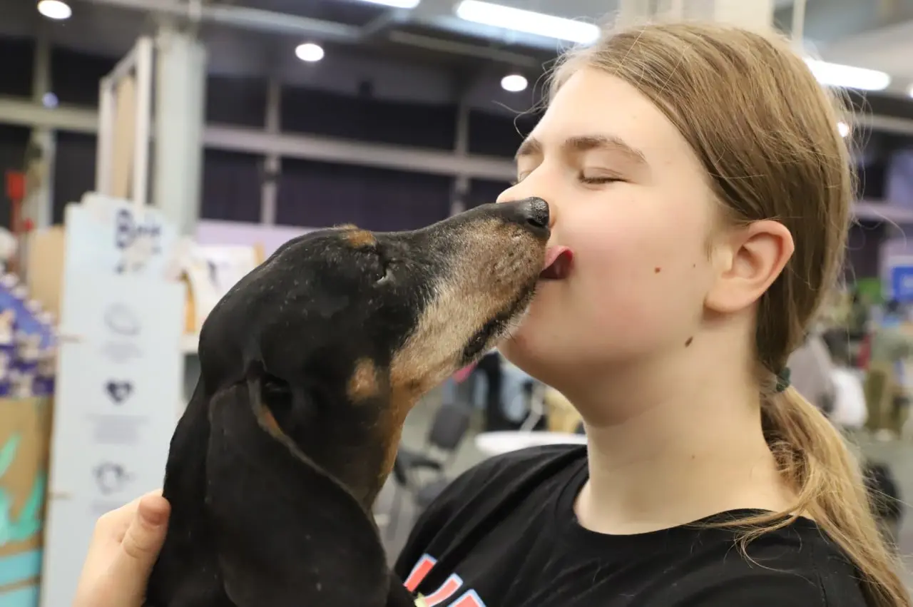 В сети появились фотографии питомцев из приютов, которых жители Самары могут взять к себе домой