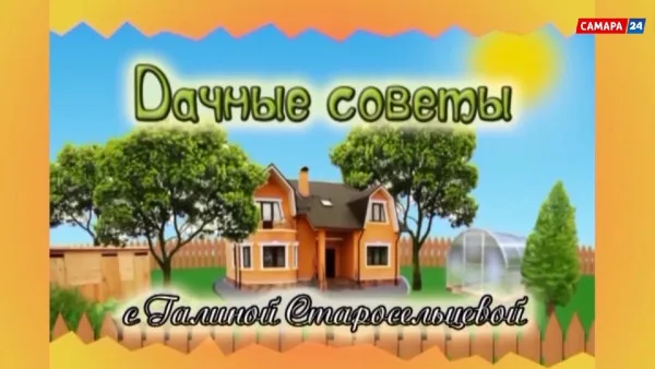 «Дачные советы»: побелка деревьев