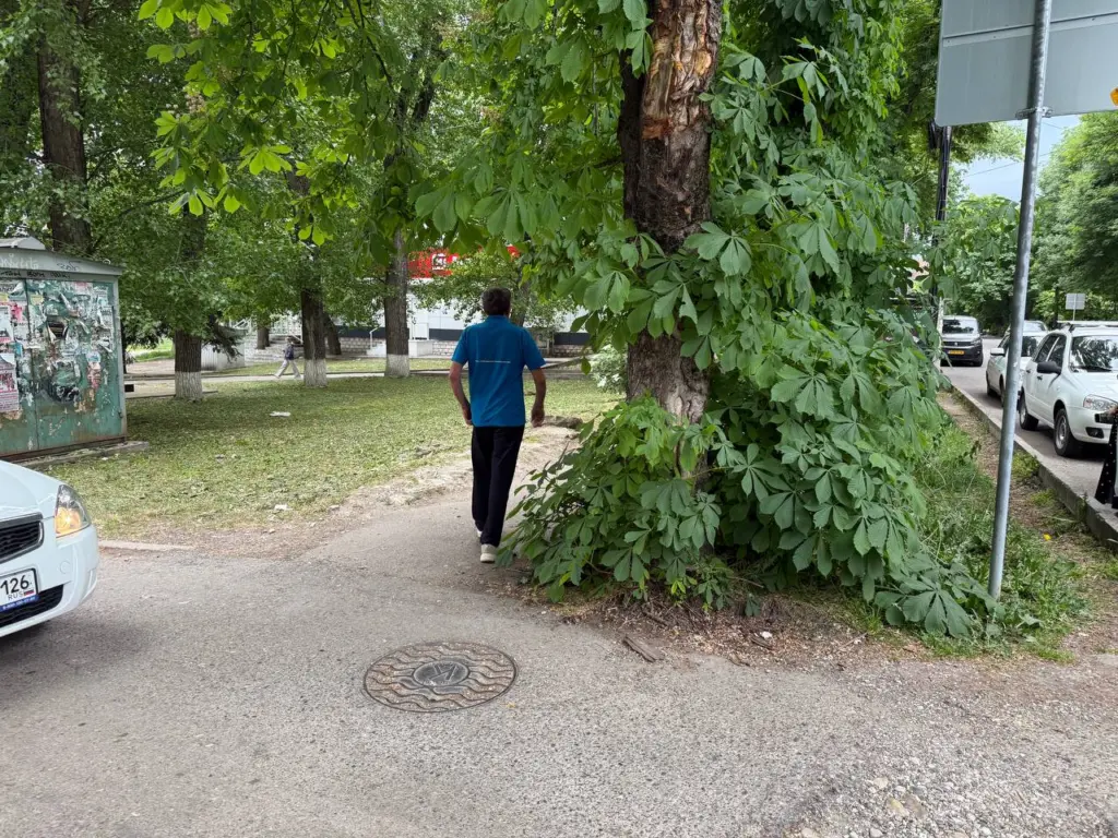 Не говорите о себе плохо, даже в шутку. И еще 6 советов житейской мудрости, о которой должен знать каждый уважающий себя человек