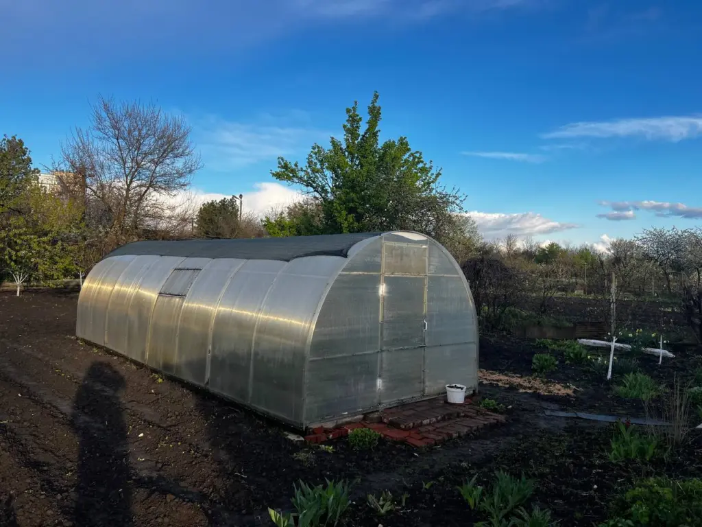 Воняет сигаретой, а действует как инсектицид: зачем дачники хвалят табачную пыль