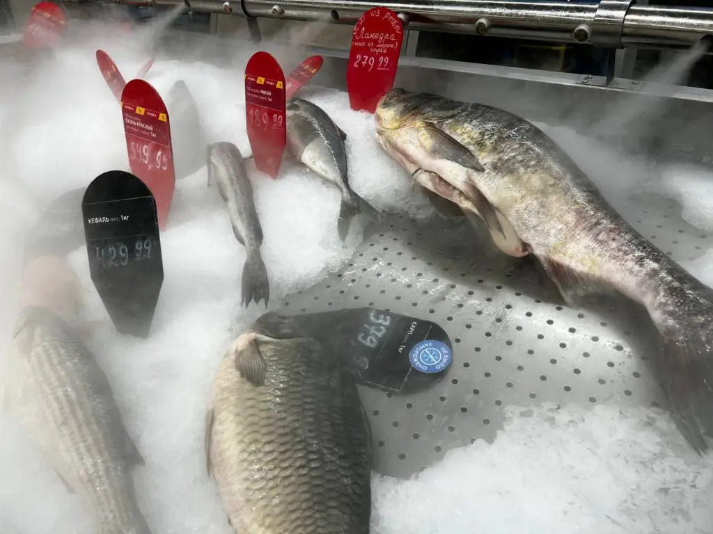 Любую рыбу чищу вручную — без ножа и кипятка: на кухне ни чешуйки — испанский метод действительно работает