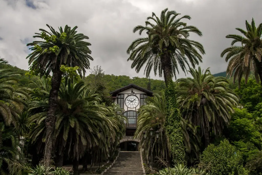 На Новый год решили съездить в Абхазию: удовольствие не для слабонервных — отзыв как на духу туристов из России