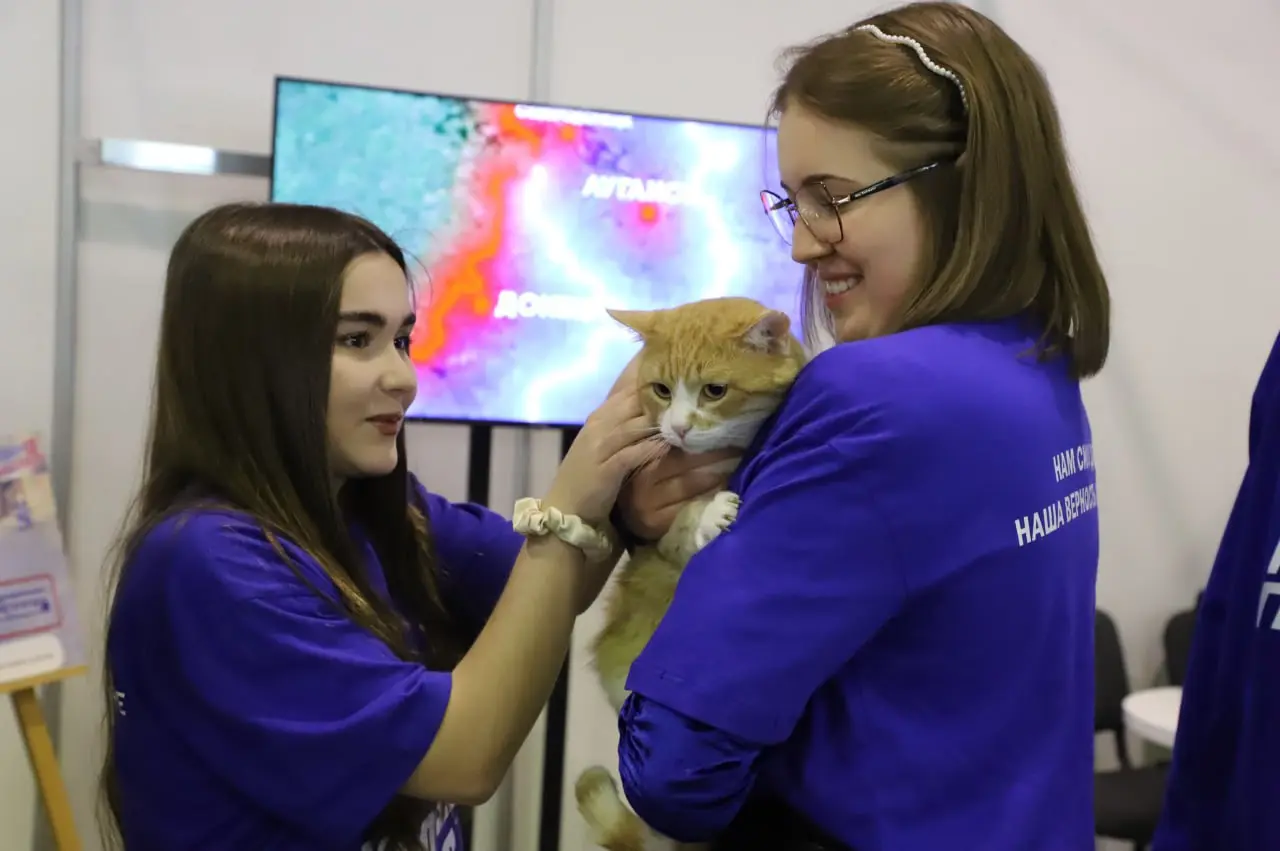 В сети появились фотографии питомцев из приютов, которых жители Самары могут взять к себе домой