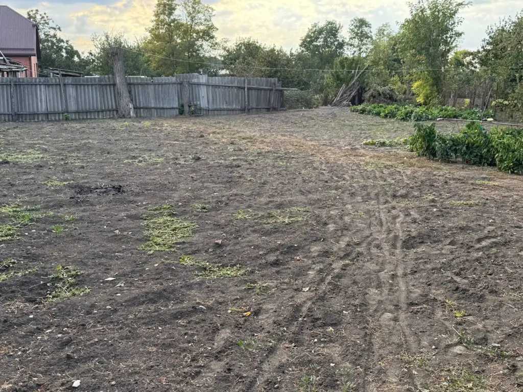 Типичные ошибки огородника, которые губят урожай: проверьте, не совершаете ли вы их