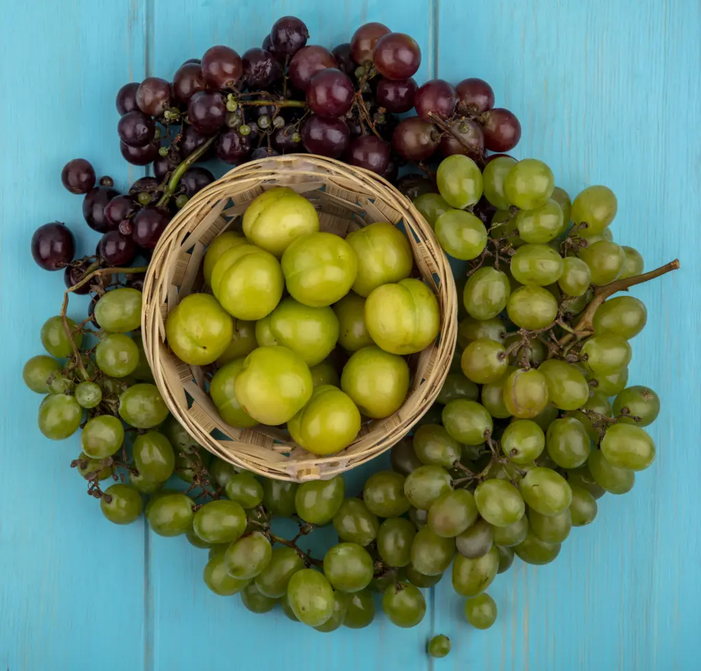 «Сахарная бомба»: нутрициолог предупредила о вреде новой популярной «вкусняшки»