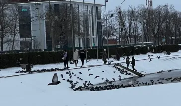 Полная отмена зимы: Вильфанд рассказал россиянам, что вместо холода придет тепло 