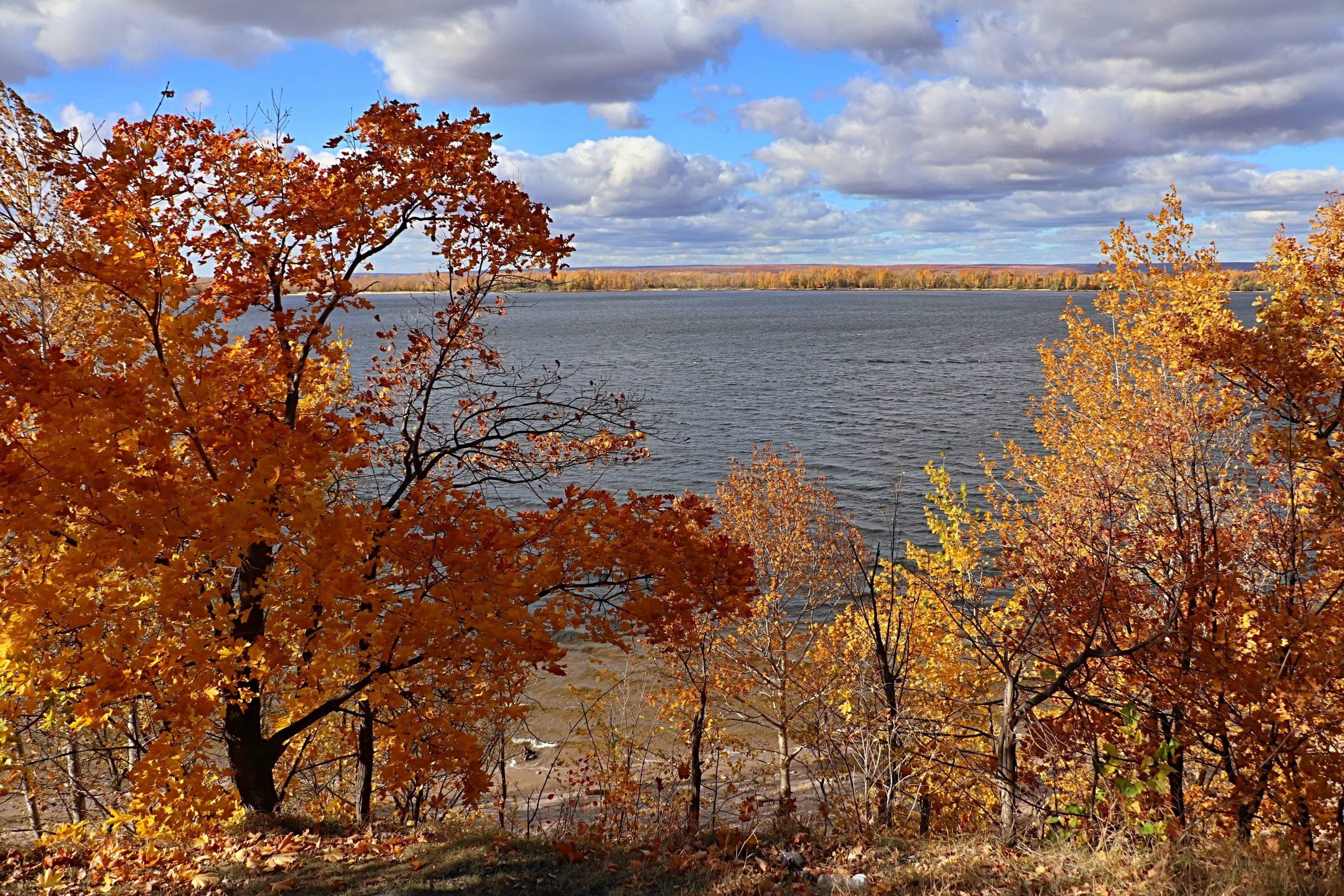 Рекордно высокая температура воздуха зафиксирована в Самарской области в ноябре
