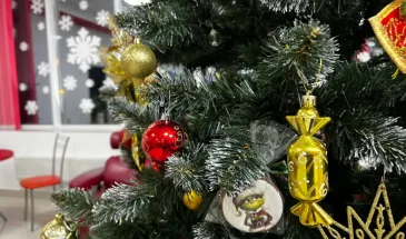 Не надевайте это в новогоднюю ночь 2026: символ года будет в бешенстве и принесет одни неприятности