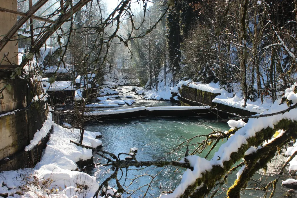 На Новый год отправились в Абхазию: удовольствие не для слабонервных — честный отзыв российских туристов