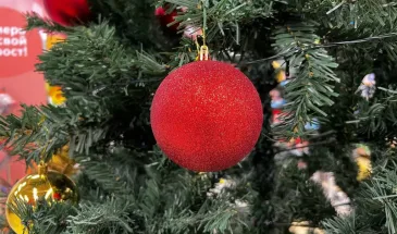 Новогодние выходные 2025 — 2026 вновь перенесли: как будем отдыхать на праздники