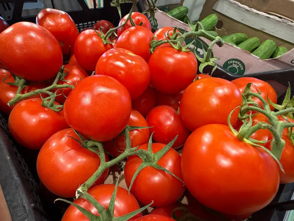 Подвожу дачный сезон 2025: 7 сортов томатов, которые мне понравились, но их в новом сезоне сажать не буду — рассказываю о причинах