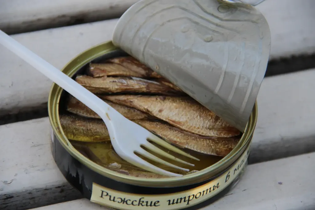 Никогда не сливаю масло от шпрот в канализацию. Сначала друзья смеялись, а теперь сами повторяют за мной