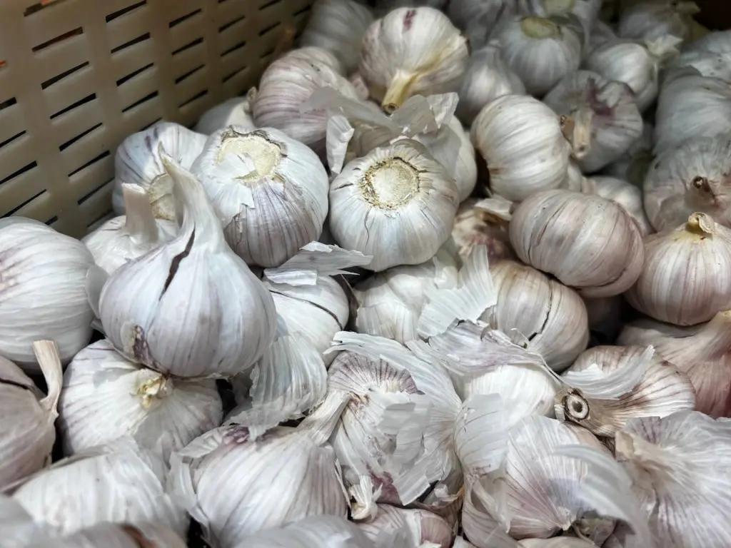 Сажаю озимый чеснок именно в такие даты: растет лучше – 6 лучших дней ноября