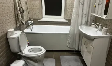 В США и Канаде не пользуются ванной и душем — у них есть третий вариант: он лучше и удобнее во всем