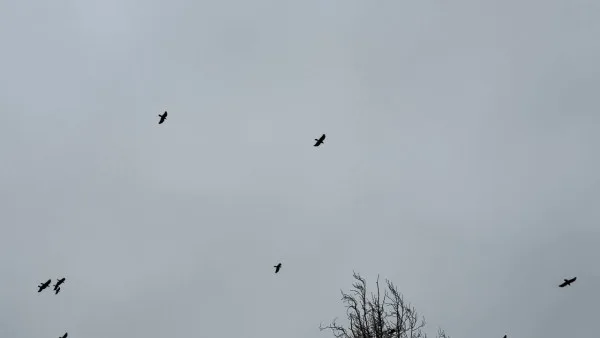 Утром 12 ноября объявлена угроза массовой атаки БПЛА в Самарской области