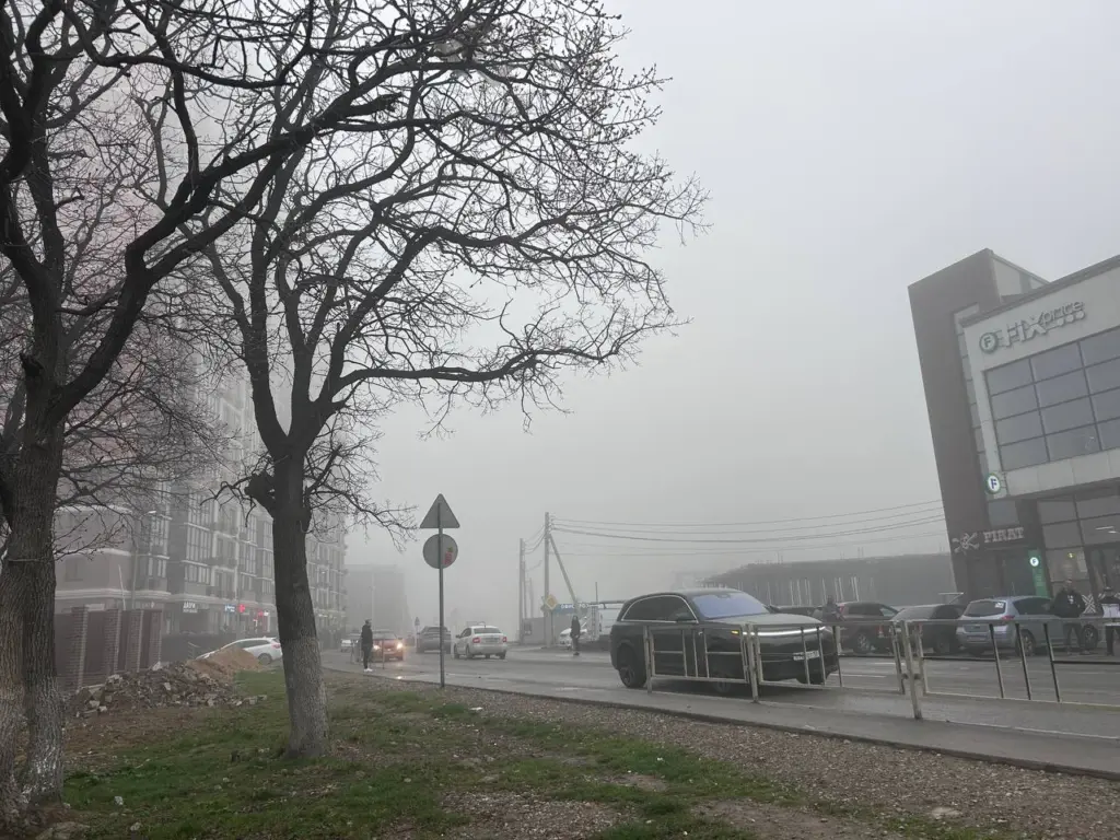 Начнётся 20 ноября и продлится неделю: синоптики сказали, к чему стоит готовиться