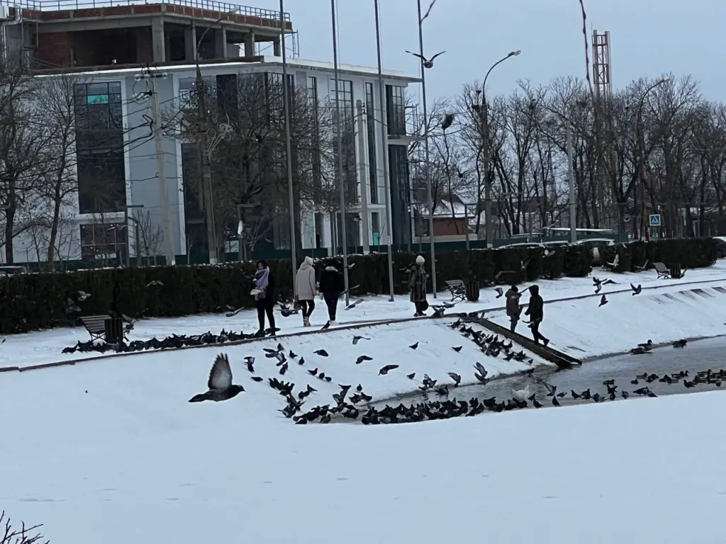 Такой зимы не было 250 лет: метеорологи сказали, к чему готовиться