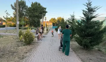 Умные люди всегда рождаются с этими цифрами в дате рождения: проверьте свою