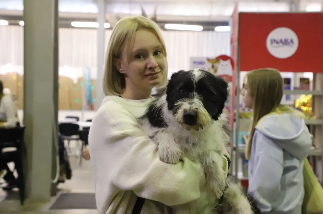 В сети появились фотографии питомцев из приютов, которых жители Самары могут взять к себе домой