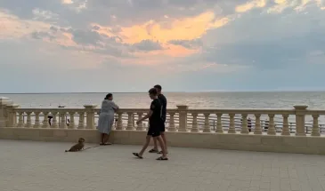 От таких друзей нужно бежать без оглядки: житейская мудрость Омара Хайяма