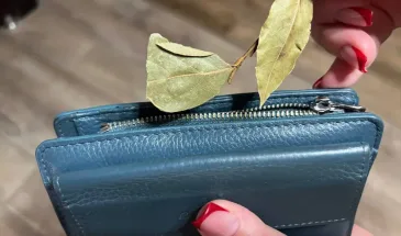 Почему бабушка постоянно держала лавровый лист в кошельке: теперь и я так делаю — три веские причины