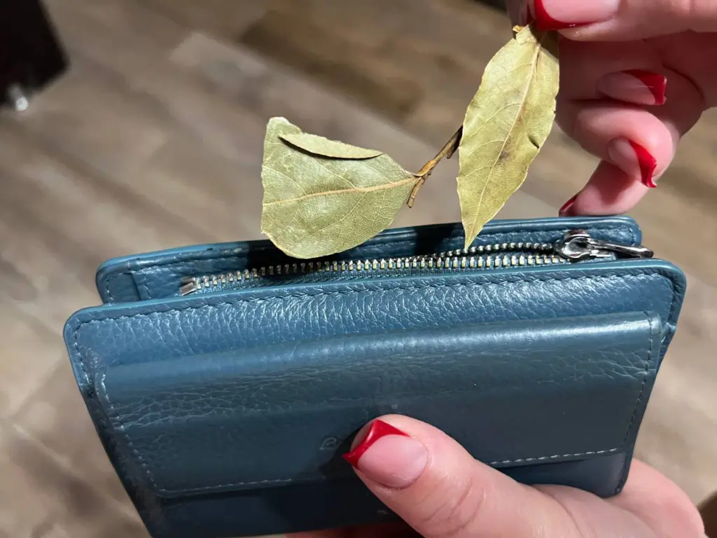 Почему бабушка постоянно держала лавровый лист в кошельке: теперь и я так делаю — три веские причины