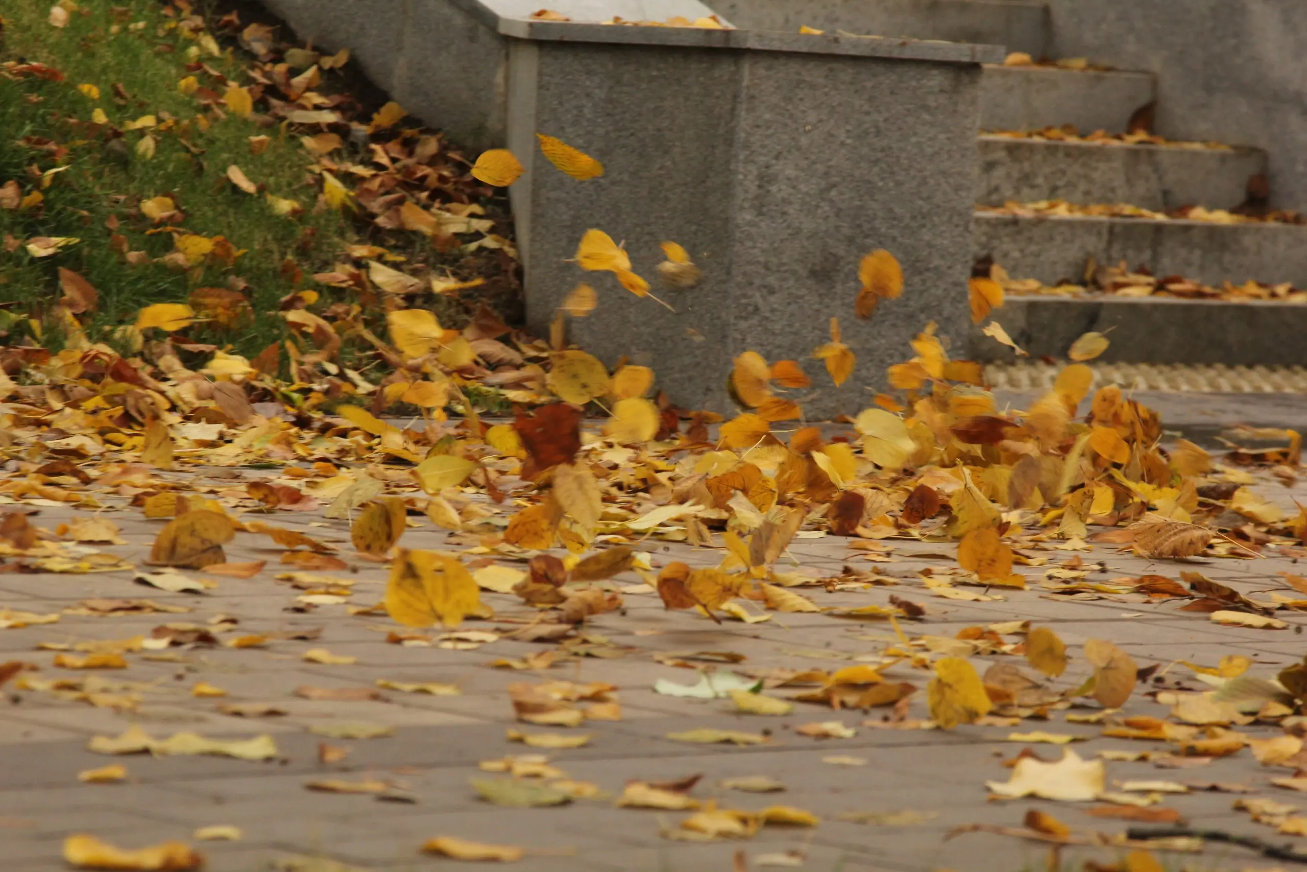 Аномально теплый ноябрь зафиксирован в Самарской области Аномально теплый ноябрь зафиксирован в Самарской области