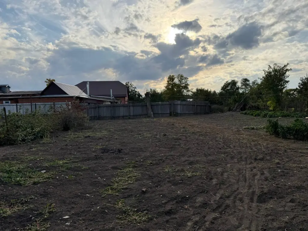 Сажайте только в эти дни: назван подробный лунный календарь дачника на ноябрь