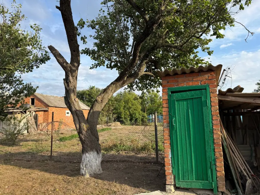 Бросайте 1 таблетку в месяц — выгребная яма очищается даже в мороз