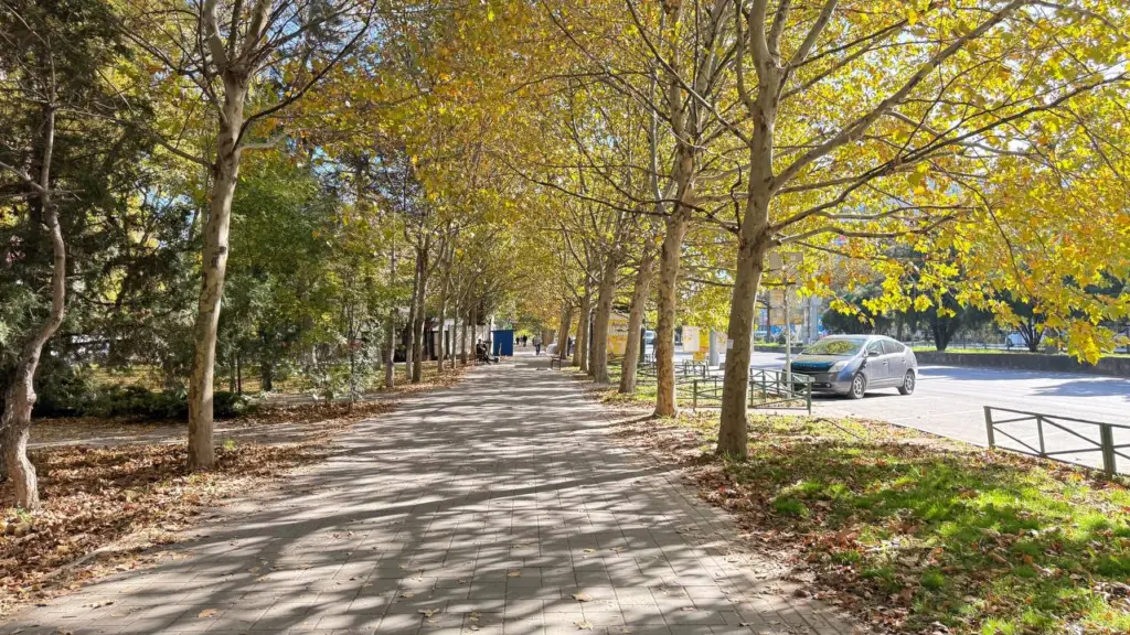 В России вводят новый праздничный день – еще 1 выходной появится в ноябре