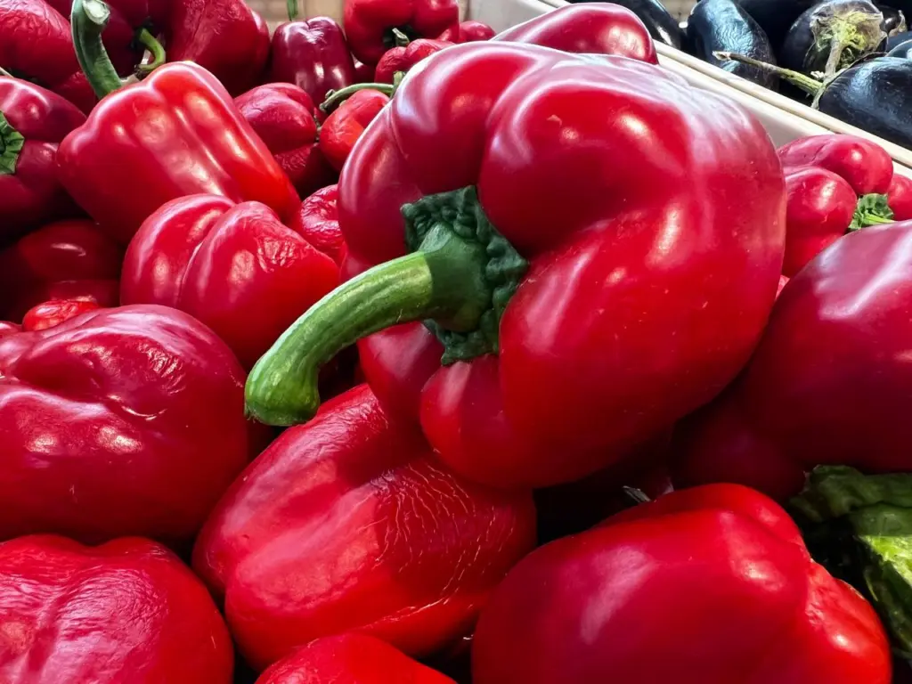 Перец сладкий, как речи вашего бывшего: этот сорт сажаю уже 5-й год — засыпает плодами мощно