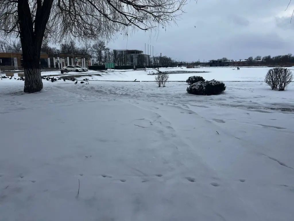 Это не просто оттепель: Роман Вильфанд раскрыл истинную причину, по которой зима в этом году не наступит