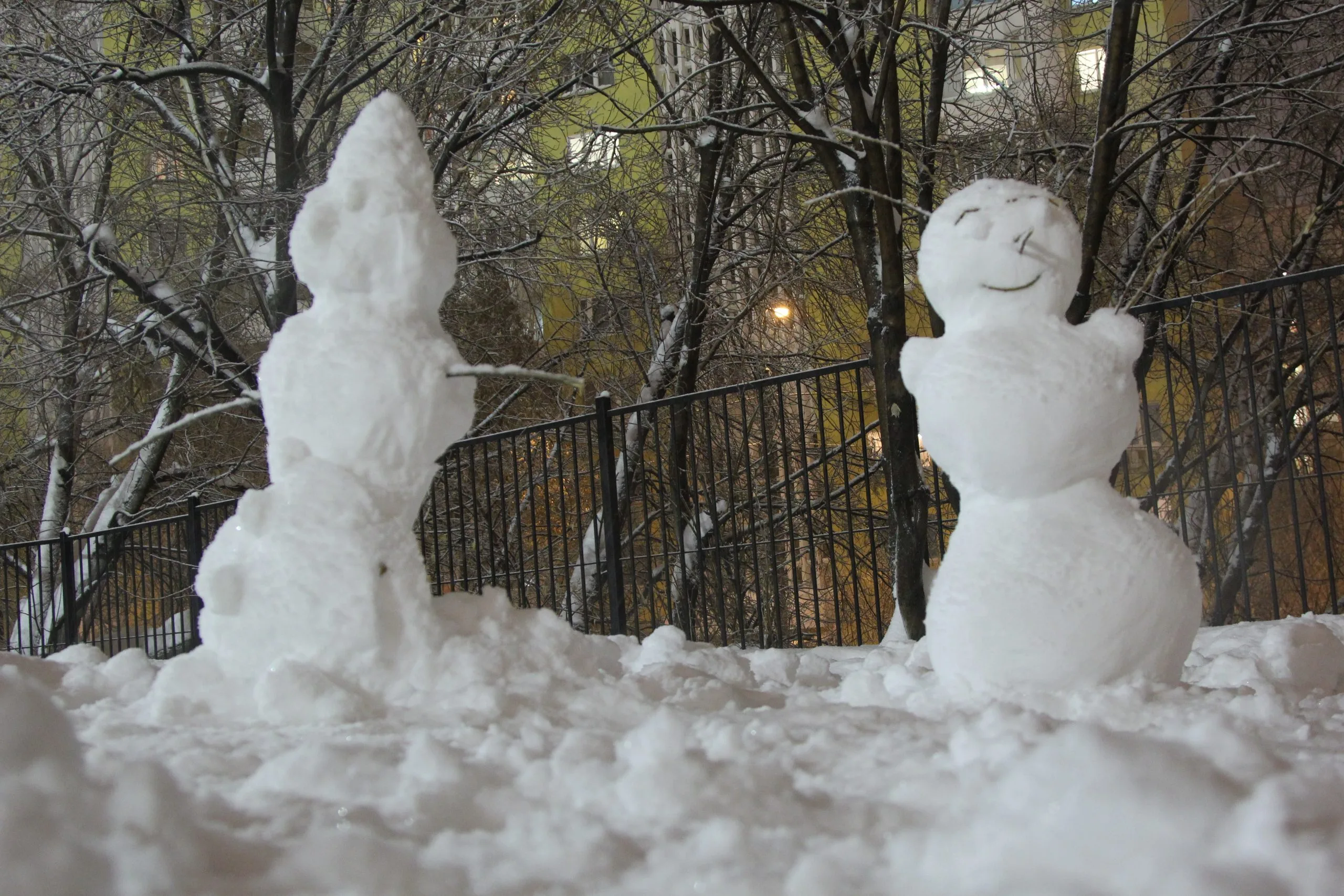 Снег и резкое похолодание придут в Самарскую область со следующей недели Снег и резкое похолодание придут в Самарскую область со следующей недели