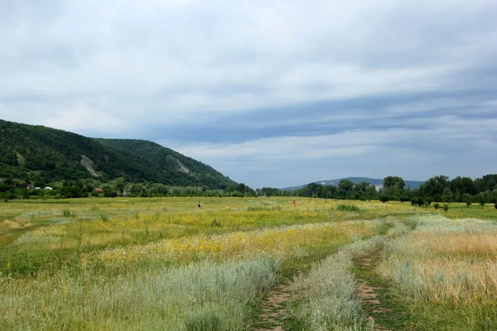 Самарский суд изъял более 168 га земли у родственниц экс-чиновника Купцова
