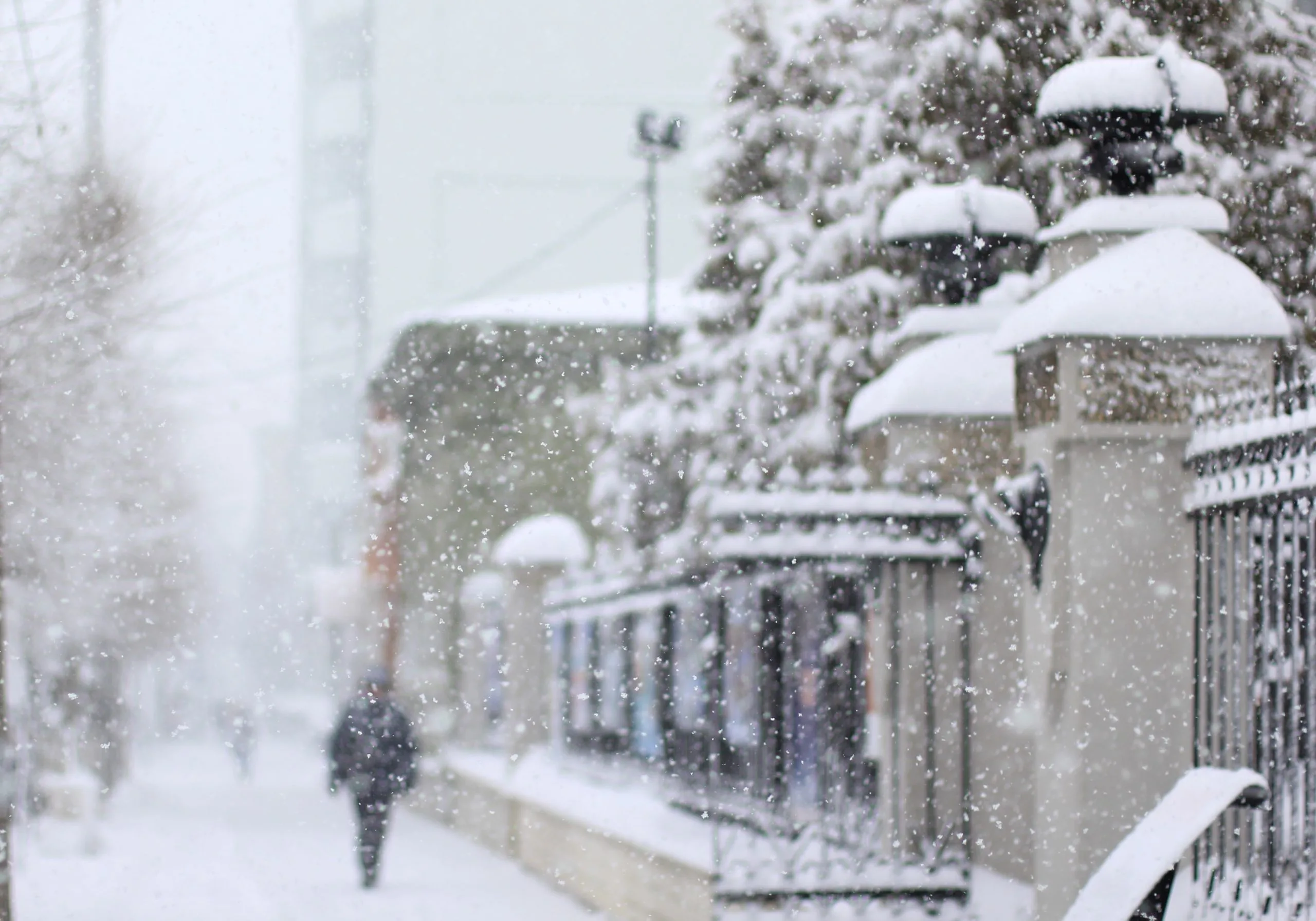 Жителей Самарской области предупреждают о сильном ветре и метели 26 декабря Жителей Самарской области предупреждают о сильном ветре и метели 26 декабря