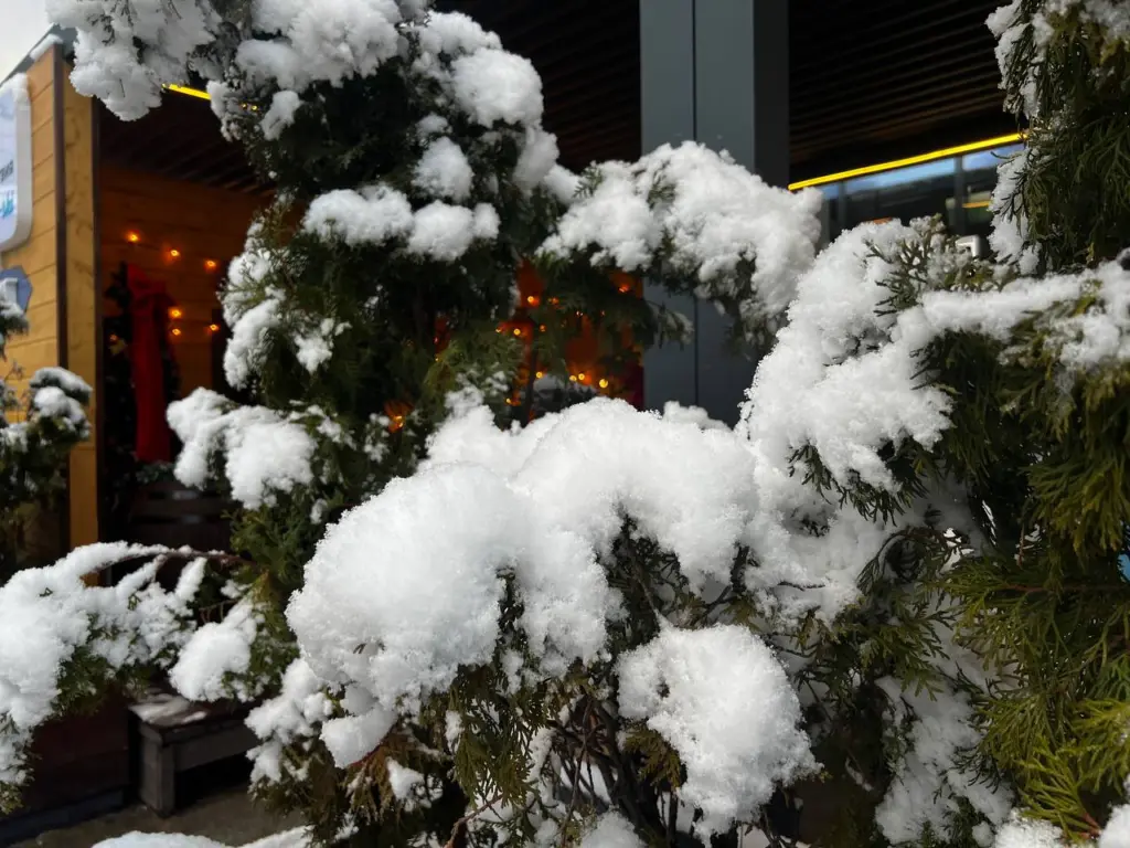 Такой зимы никто не помнит 250 лет: синоптики сказали, к чему готовиться