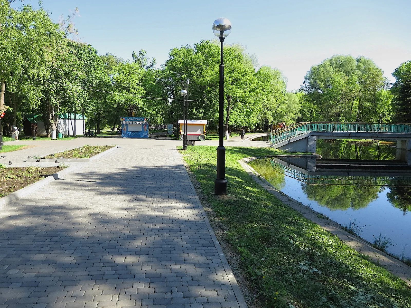 Минимальный порог озеленения для новых микрорайонов ввели в Самарской области