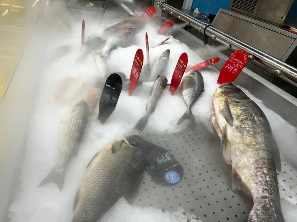 Названа самая полезная для человека рыба — ешьте дважды в неделю. Насыщена селеном, фосфором и хороша для всего организма