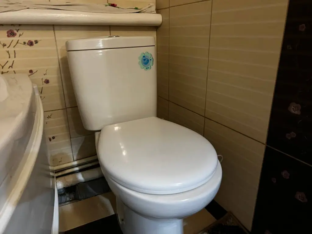 Как просто и быстро убрать грязь под ободком унитаза без ершика: чтобы чаша сверкала и не было неприятного запаха