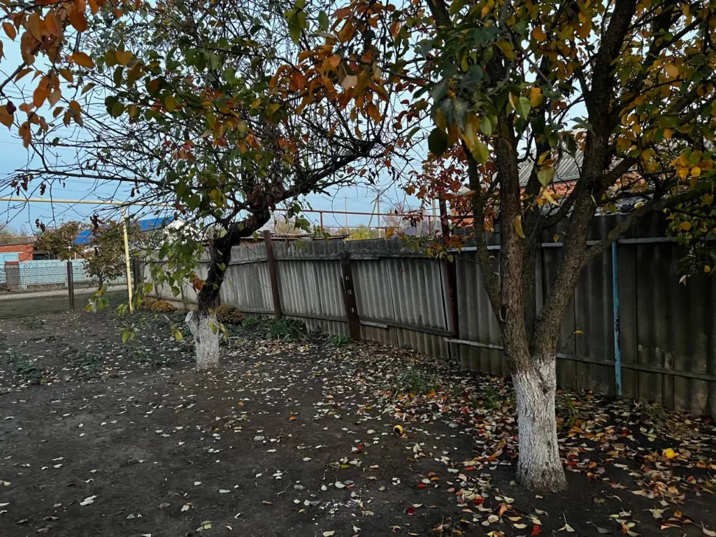 Новый тренд 2025: такой забор в 10 раз дешевле поликарбоната — эксперты назвали его лучшим решением